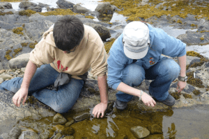 Screen Shot 2014-07-04 at 2.22.17 PM